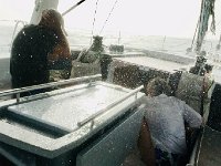 10 December 2018 Along the coast to Bay of Southern Saltpan